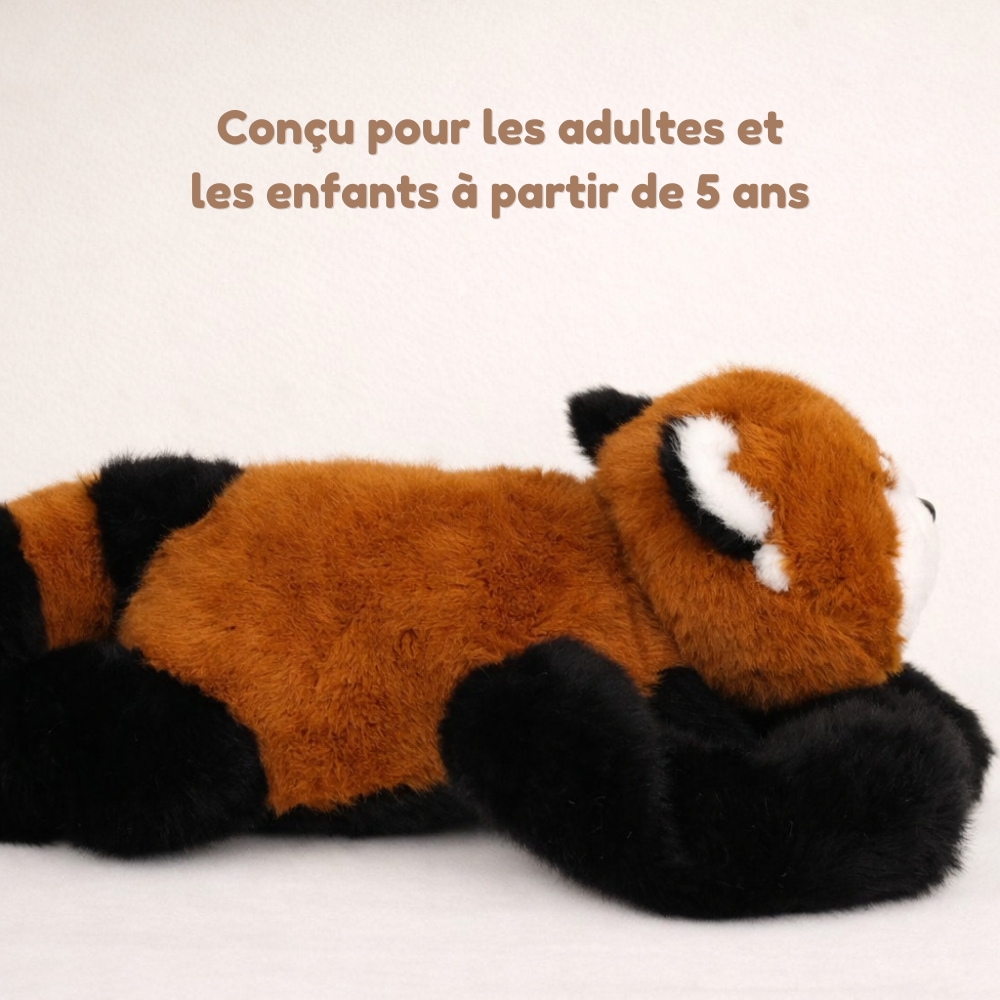 Rouky le Panda Roux - Peluche Lestée