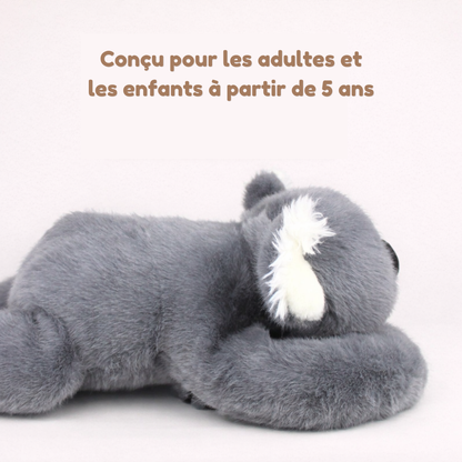 Koko le Koala - Peluche Lestée