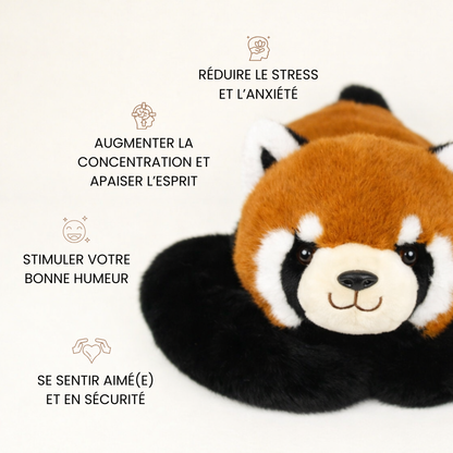 Rouky le Panda Roux - Peluche Lestée