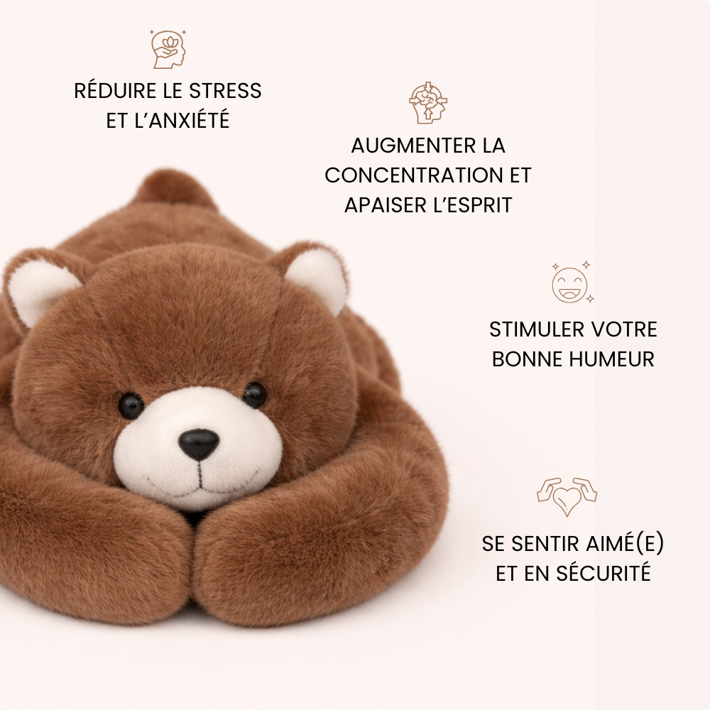 Moka l'Ours - Peluche Lestée