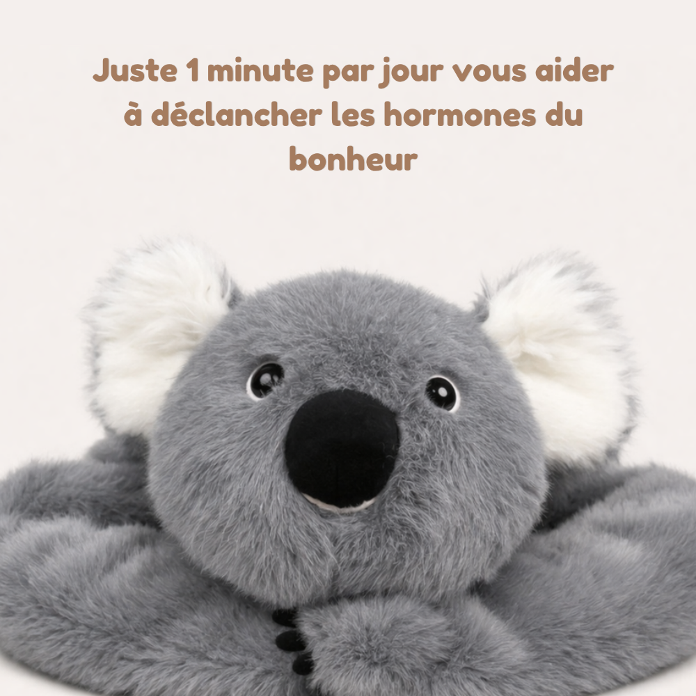 Koko le Koala - Peluche Lestée