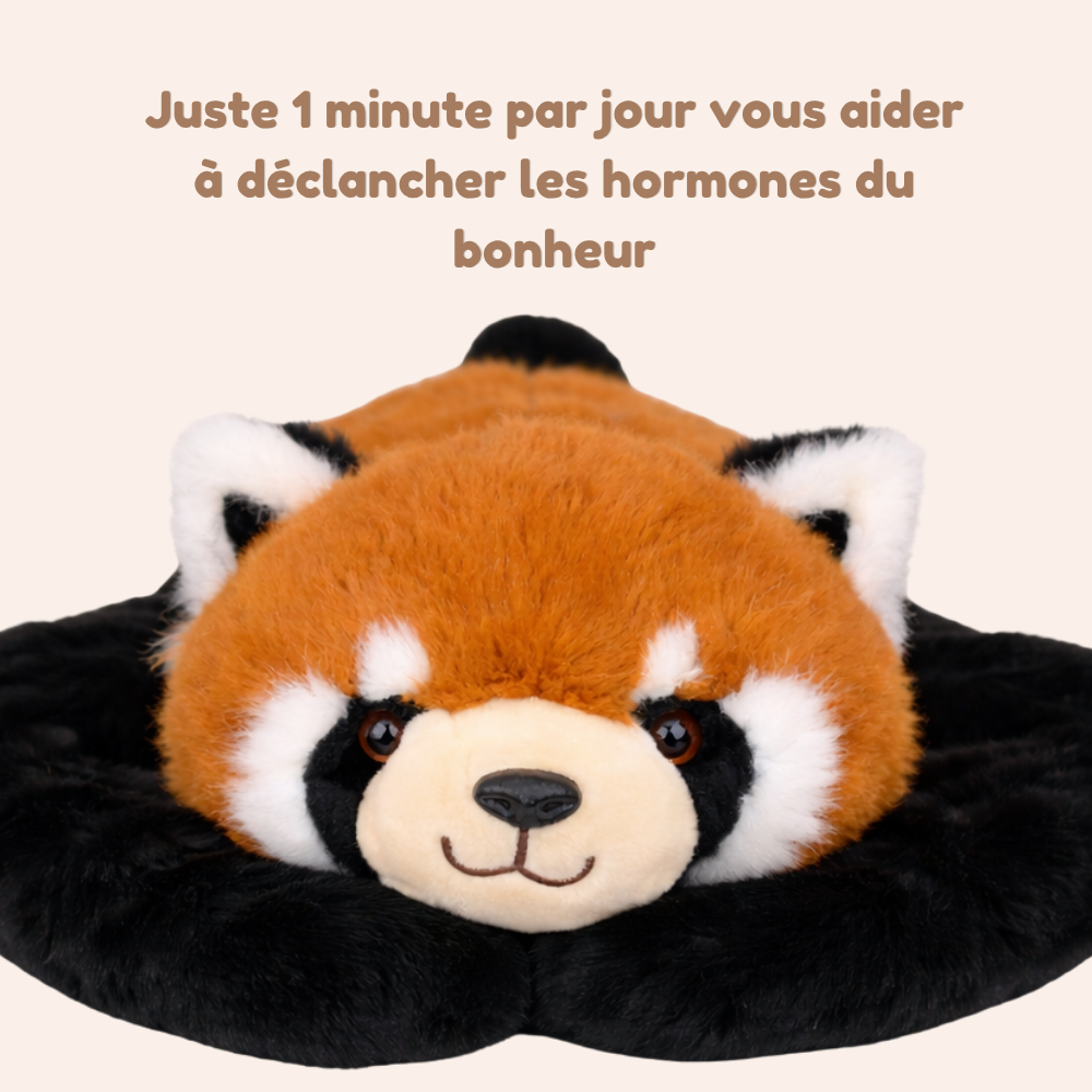 Rouky le Panda Roux - Peluche Lestée