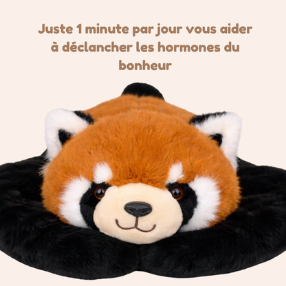 Rouky le Panda Roux - Peluche Lestée