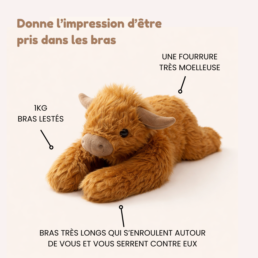 Moolie la Vache Highland - Peluche Lestée