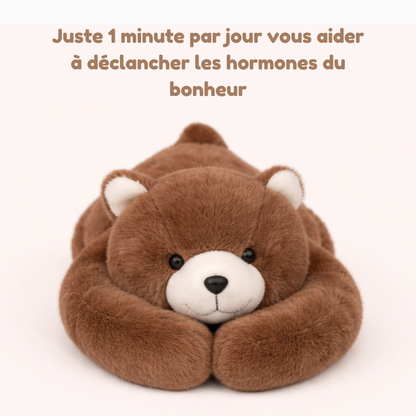 Moka l'Ours - Peluche Lestée