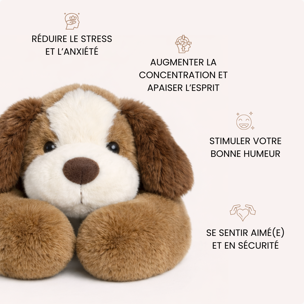 Cookie le Chien - Peluche Lestée