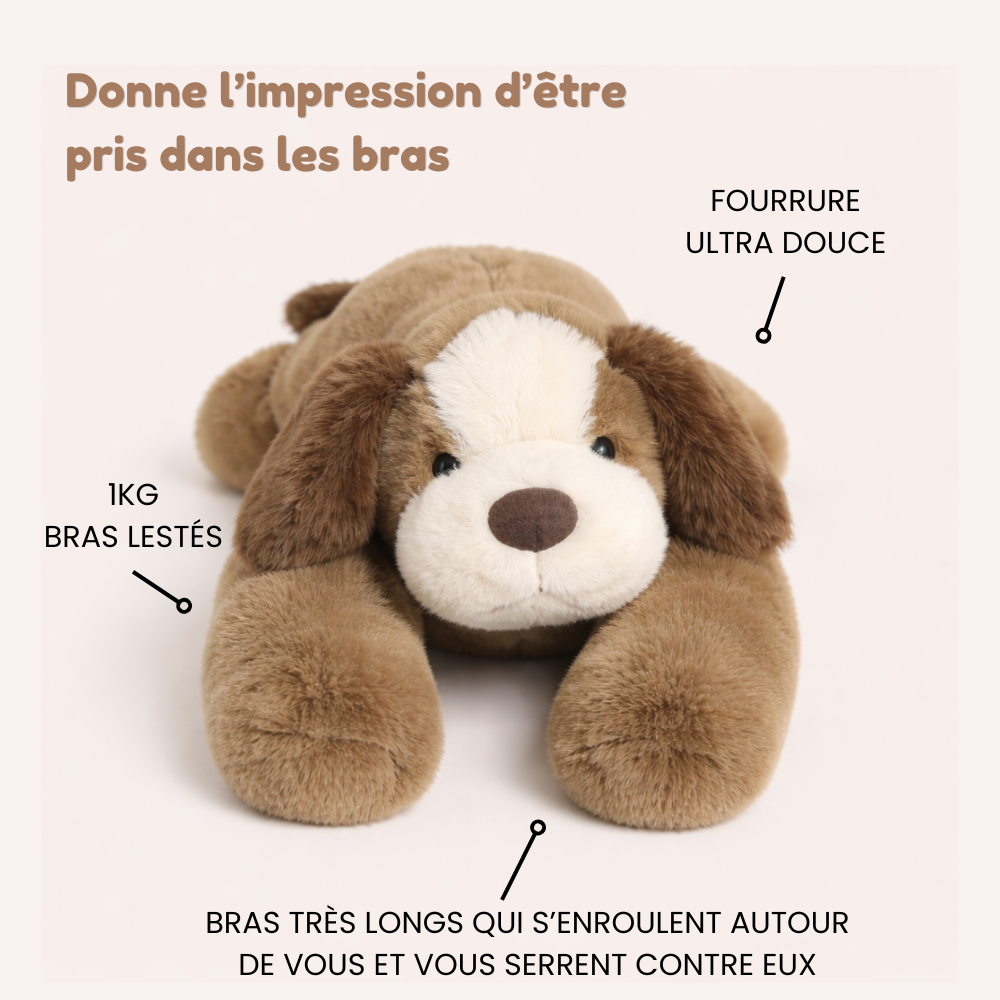 Cookie le Chien - Peluche Lestée