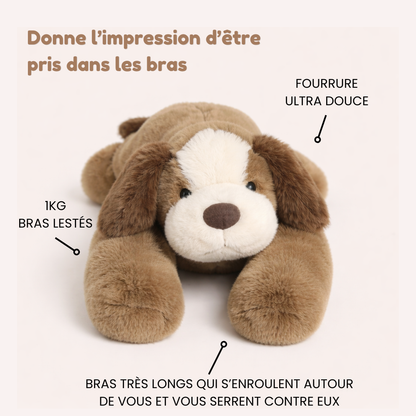 Cookie le Chien - Peluche Lestée
