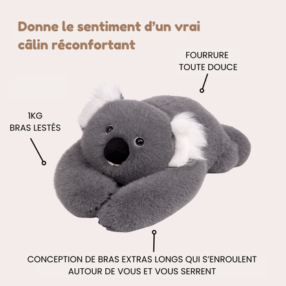Koko le Koala - Peluche Lestée